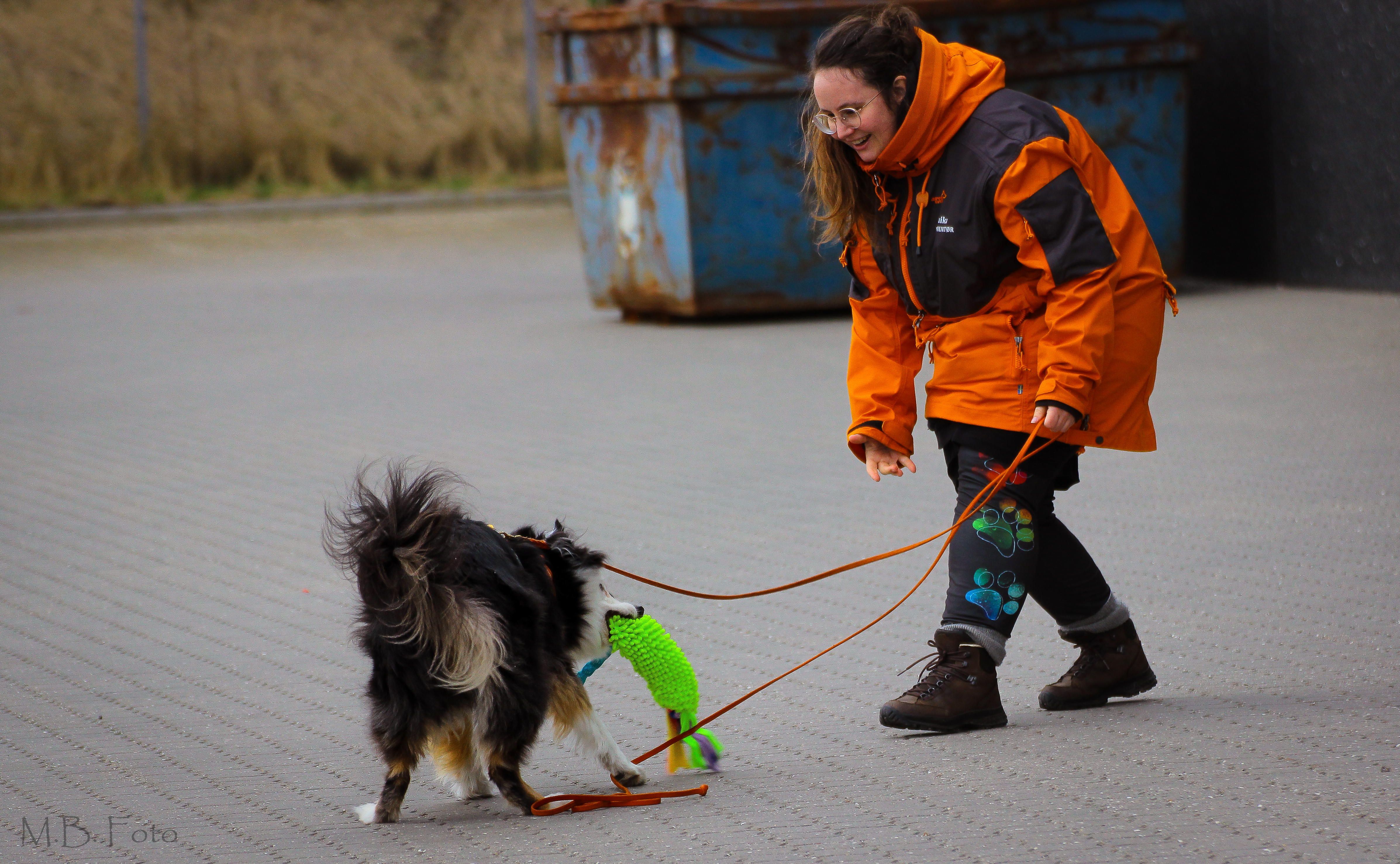 Hundetræner Laika i Nosework omkring Ebeltoft