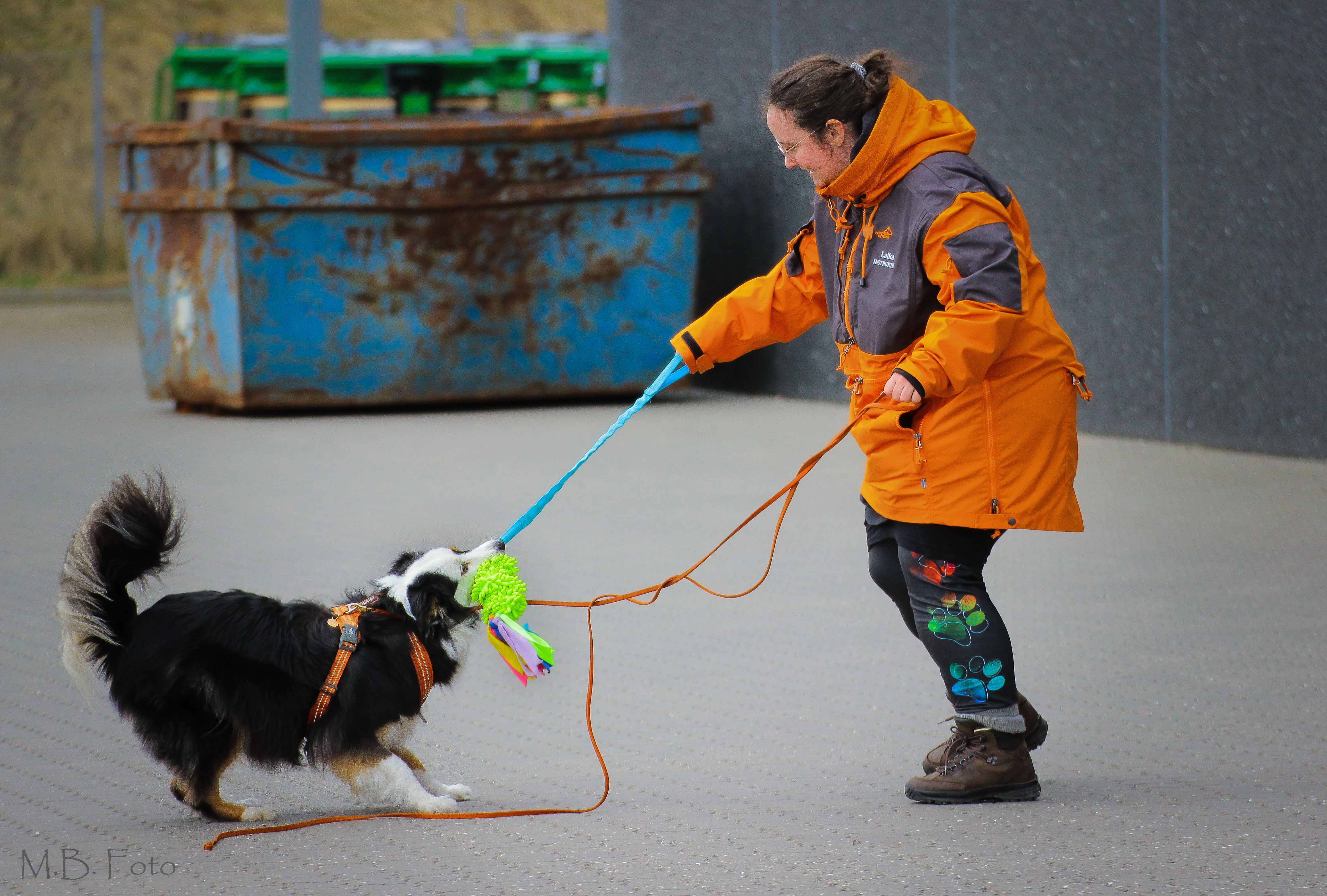 Hundetræning og Nosework i Ebeltoft og omegn