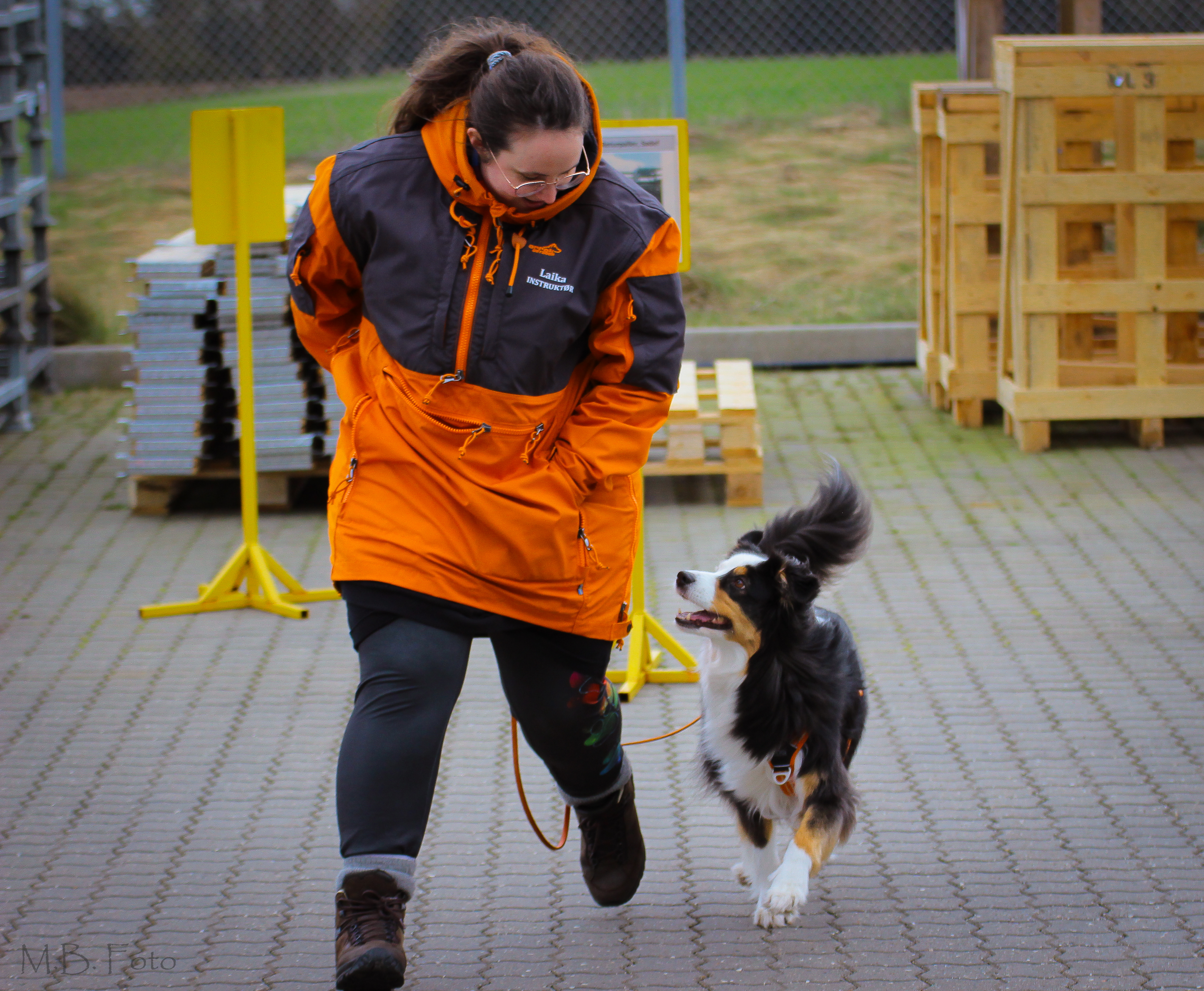 Hos Laika Hundetræning Nosework i Ebeltoft