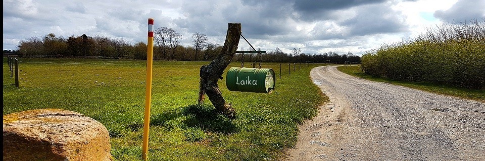 Kontakt Hundetræner Laika med base i og Ebeltoft
								<p>Mail: <b/>laikaemily1991@gmail.com </b></p>
								<p>Tlf nr: <a href=
